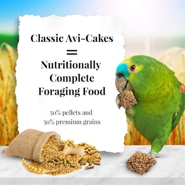 Lafeber Classic Avi Cakes for Parrot - New York Bird Supply