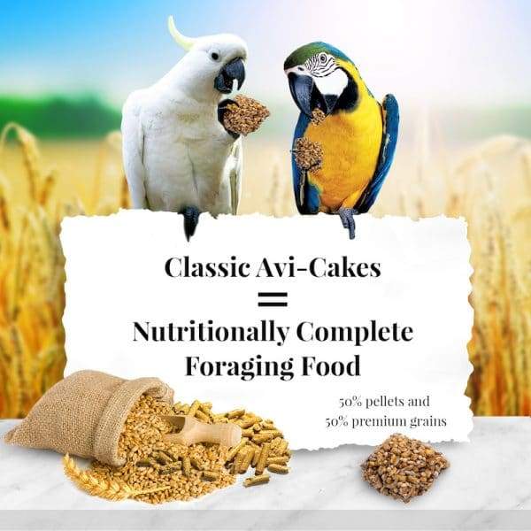 Lafeber Classic Avi Cakes Macaw - New York Bird Supply