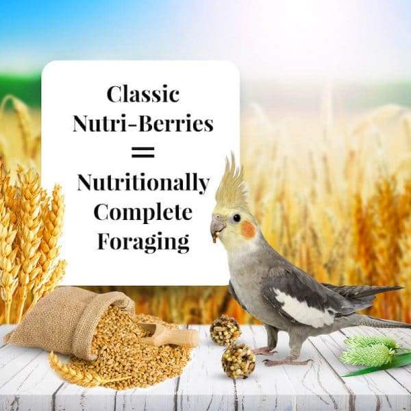 Lafeber Classic Nutri-Berries Cockatiel - New York Bird Supply