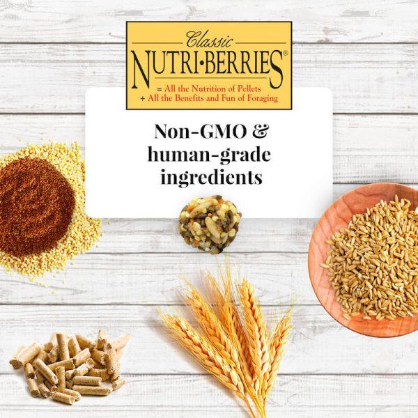 Lafeber Classic Nutri-Berries Cockatiel - New York Bird Supply