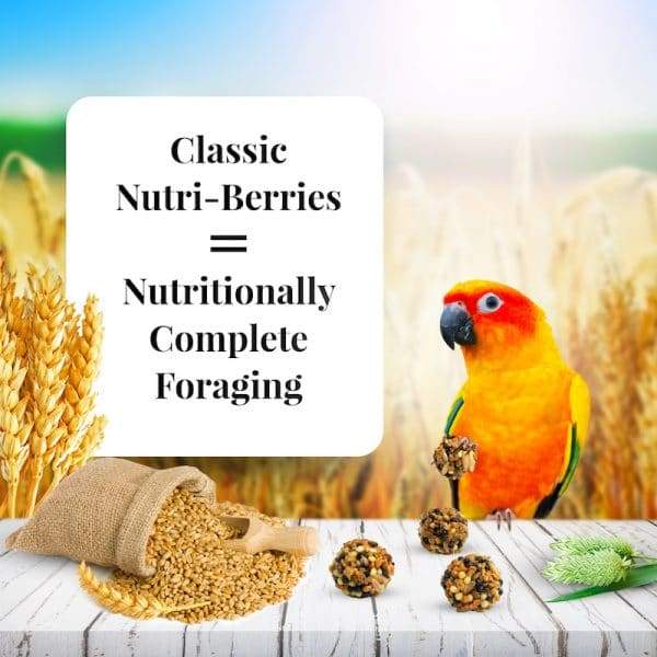 Lafeber Classic Nutri-Berries Conure - New York Bird Supply