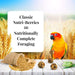 Lafeber Classic Nutri-Berries Conure - New York Bird Supply