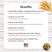 Lafeber Classic Nutri-Berries Conure - New York Bird Supply