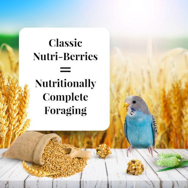 Lafeber Classic Nutri-Berries Parakeet - New York Bird Supply