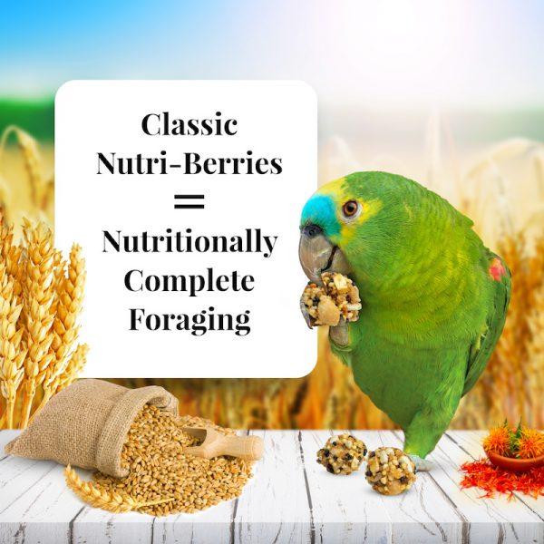 Lafeber Classic Nutri-Berries Parrot - New York Bird Supply