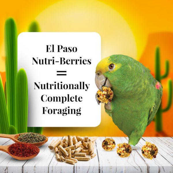 Lafeber El-Paso Nutri- Berries - New York Bird Supply