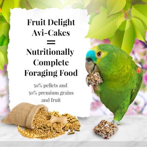 Lafeber Fruit Delight Avi-Cakes For Parrots - New York Bird Supply