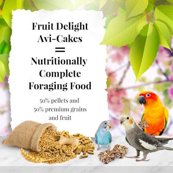 Lafeber Fruit Delight Avi-Cakes For Small Birds  (Parakeet/Cockatiel) - New York Bird Supply