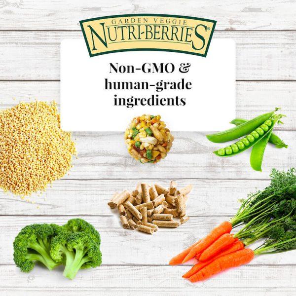 Lafeber Garden Veggie Nutri-Berries - New York Bird Supply