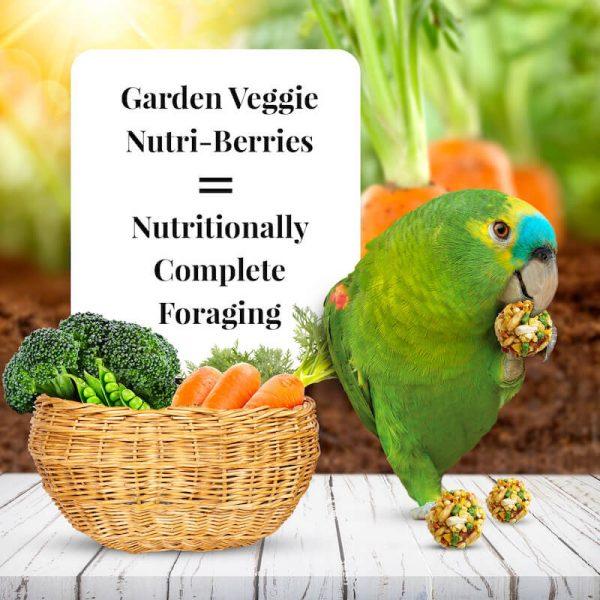 Lafeber Garden Veggie Nutri-Berries - New York Bird Supply