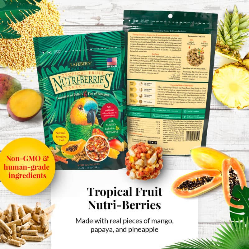 Lafeber Nutri-Berries Sampler Bundles 10 oz, 4 Pack - New York Bird Supply
