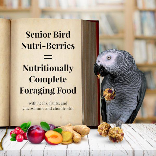 Lafeber Nutri Berries Senior Bird Parrot - New York Bird Supply