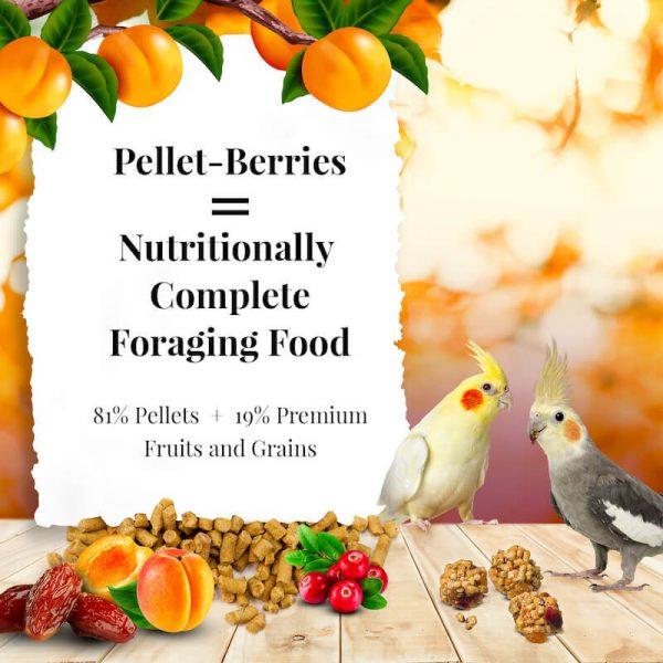 Lafeber Pellet-Berries for Cockatiels - New York Bird Supply