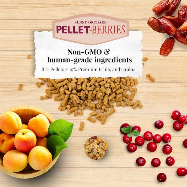 Lafeber Pellet-Berries for Parakeets - New York Bird Supply