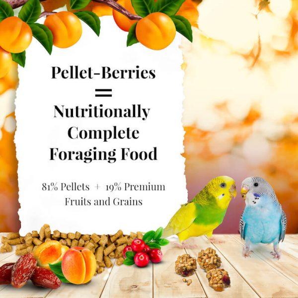 Lafeber Pellet-Berries for Parakeets - New York Bird Supply