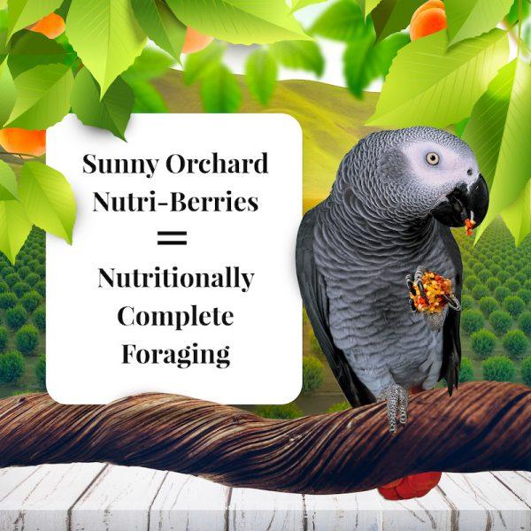 Lafeber Sunny Orchard Nutri-Berries (Parrot) - New York Bird Supply