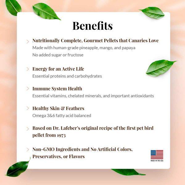 Lafeber Tropical Fruit Gourmet Pellets Canary - New York Bird Supply