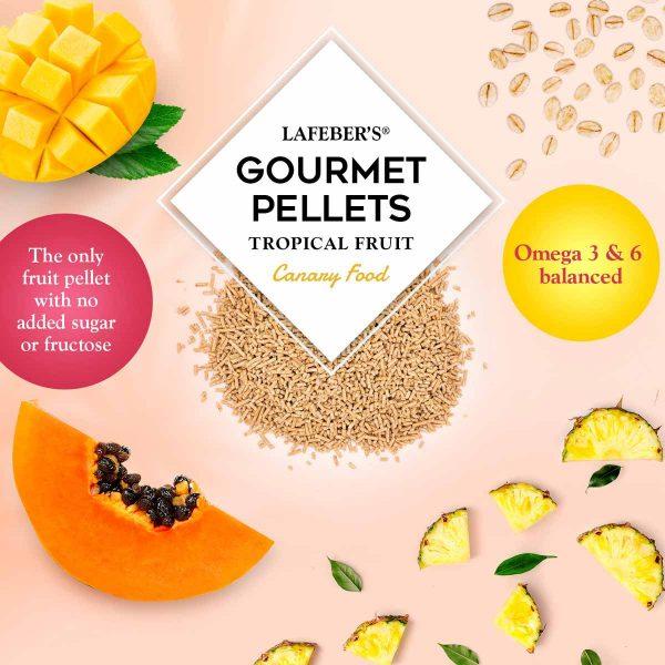 Lafeber Tropical Fruit Gourmet Pellets Canary - New York Bird Supply