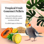 Lafeber Tropical Fruit Gourmet Pellets Cockatiel - New York Bird Supply