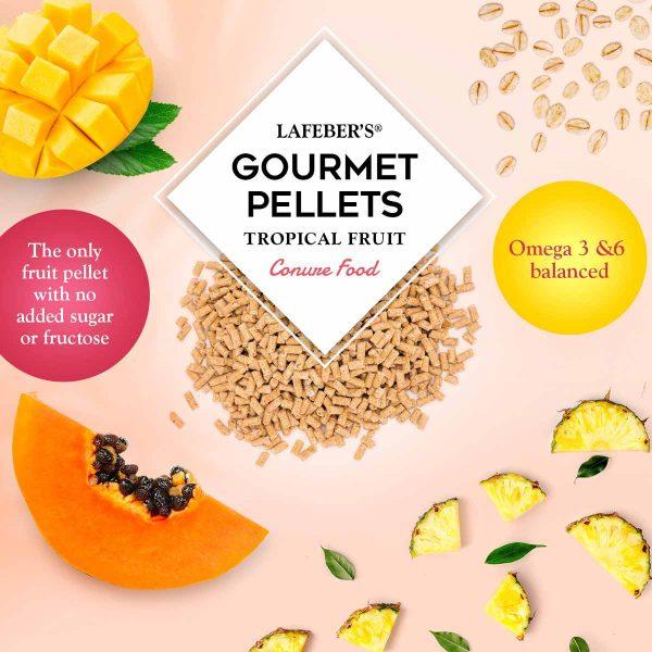 Lafeber Tropical Fruit Gourmet Pellets Conure - New York Bird Supply