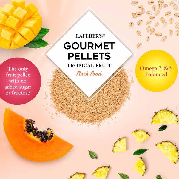Lafeber Tropical Fruit Gourmet Pellets Finch - New York Bird Supply