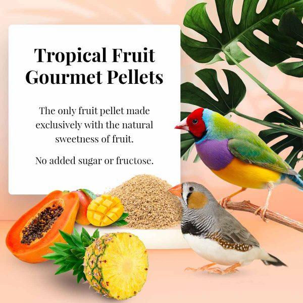Lafeber Tropical Fruit Gourmet Pellets Finch - New York Bird Supply