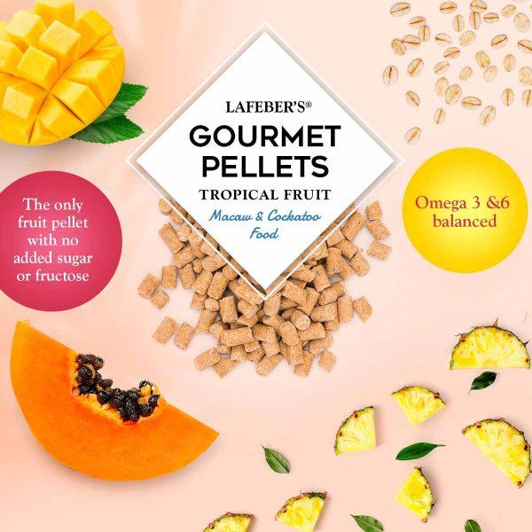Lafeber Tropical Fruit Gourmet Pellets Macaw - New York Bird Supply