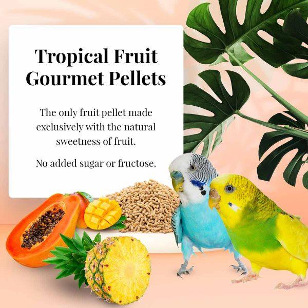 Lafeber Tropical Fruit Gourmet Pellets Parakeet - New York Bird Supply