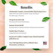 Lafeber Tropical Fruit Gourmet Pellets Parakeet - New York Bird Supply