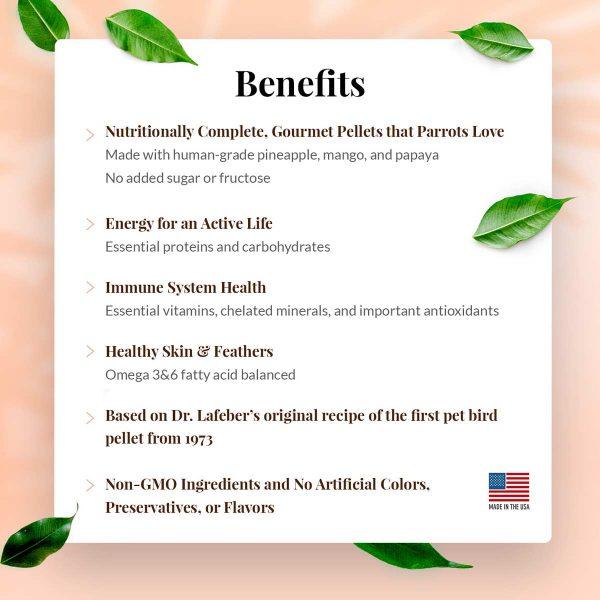 Lafeber Tropical Fruit Gourmet Pellets Parrot - New York Bird Supply