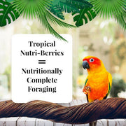 Lafeber Tropical Fruit Nurti-Berries Conure - New York Bird Supply