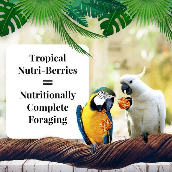 Lafeber Tropical Fruit Nutri-Berries Macaw - New York Bird Supply