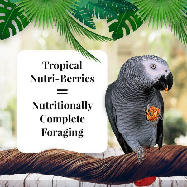 Lafeber Tropical Fruit Nutri-Berries Parrot - New York Bird Supply