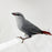 Lavender Waxbill - New York Bird Supply