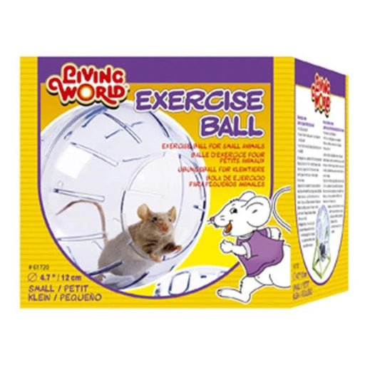 Living World Exercise Ball Small - New York Bird Supply