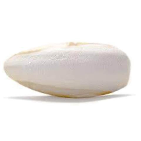 Medium Size Cuttlebone 1lb 6 to 8 Pieces - New York Bird Supply