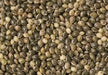 Millet Seed Grey - New York Bird Supply