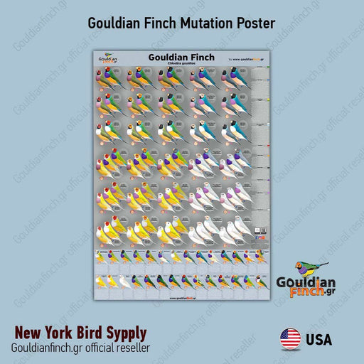 NEW Gouldian Finch Mutation Poster - New York Bird Supply
