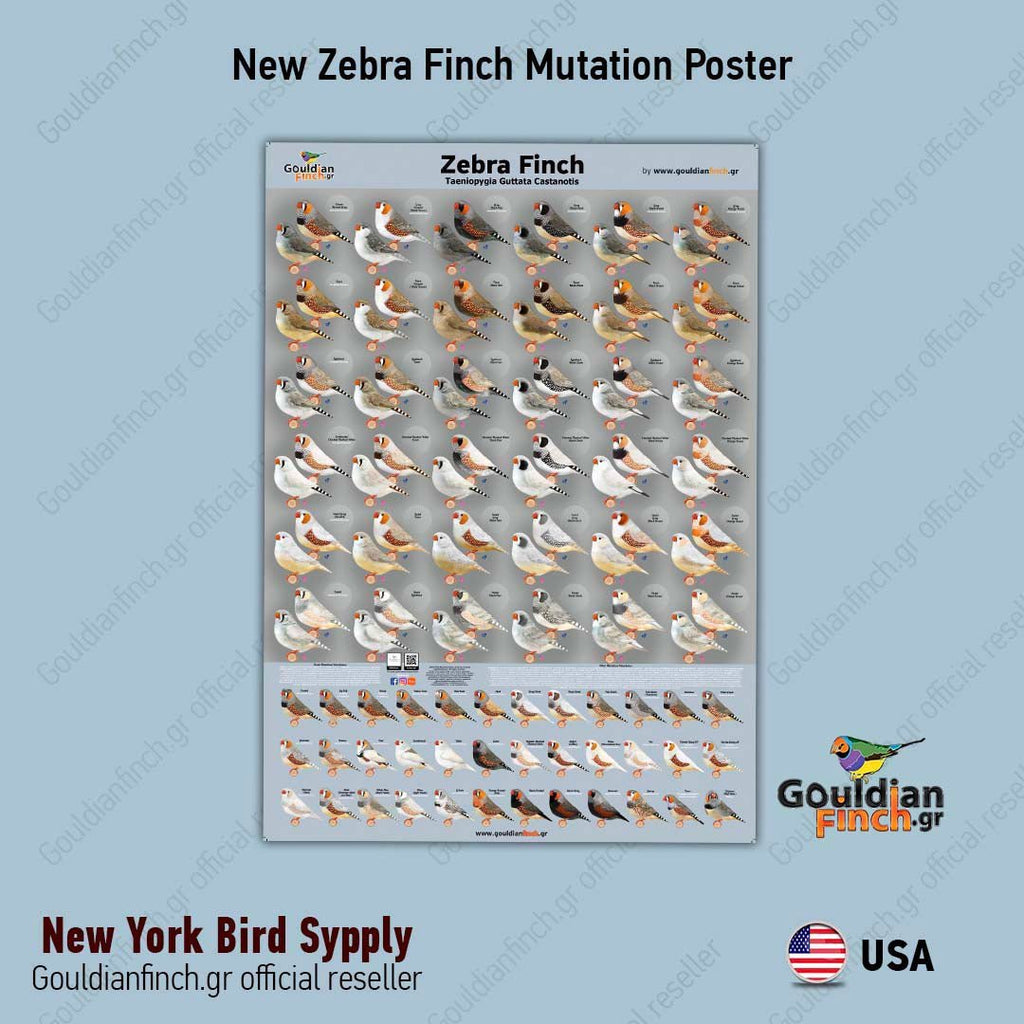 Zebra Finch Mutations Chart