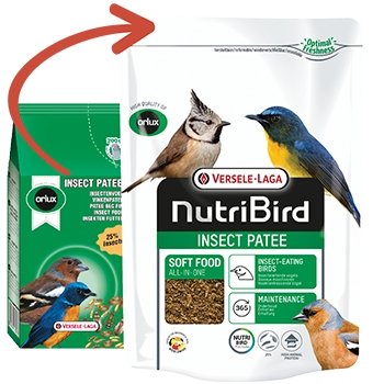 NutriBird Insect Patee - New York Bird Supply