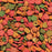 NutriBird P15 Tropical - New York Bird Supply