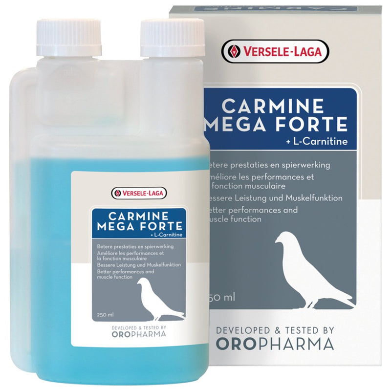 when should i take liquid l carnitine Nutrex Research, Liquid L-Carnitine 3000, 31 Servings when should i take liquid l carnitine Nutrex Research, Liquid L-Carnitine 3000, 31 Servings