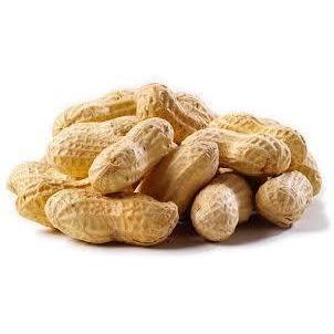 Peanuts (In Shell) - New York Bird Supply