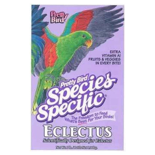 Pretty Bird Eclectus - New York Bird Supply