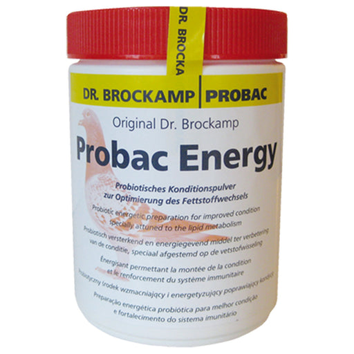 Probac Energy - New York Bird Supply
