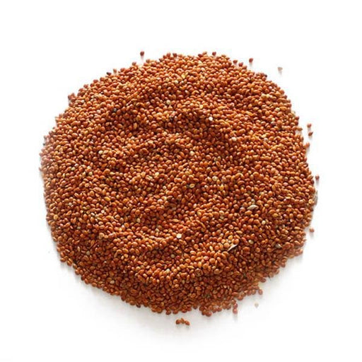 Red Millet - New York Bird Supply