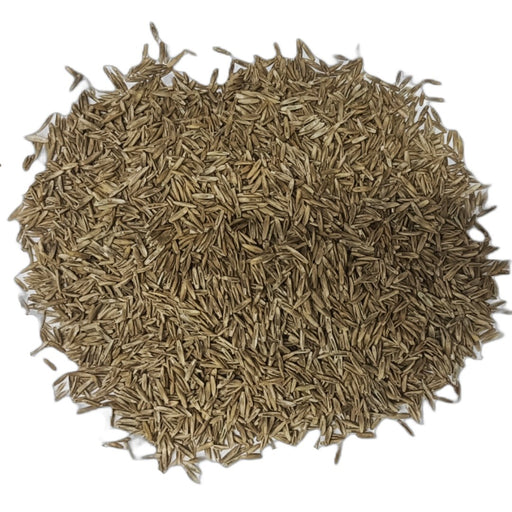 Rye Grass Seed - New York Bird Supply