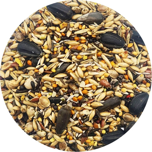 Siskin Mix - New York Bird Supply