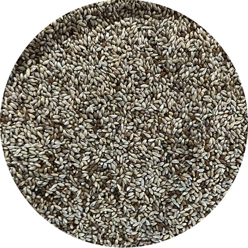 Timothy Alfalfa Seed - New York Bird Supply