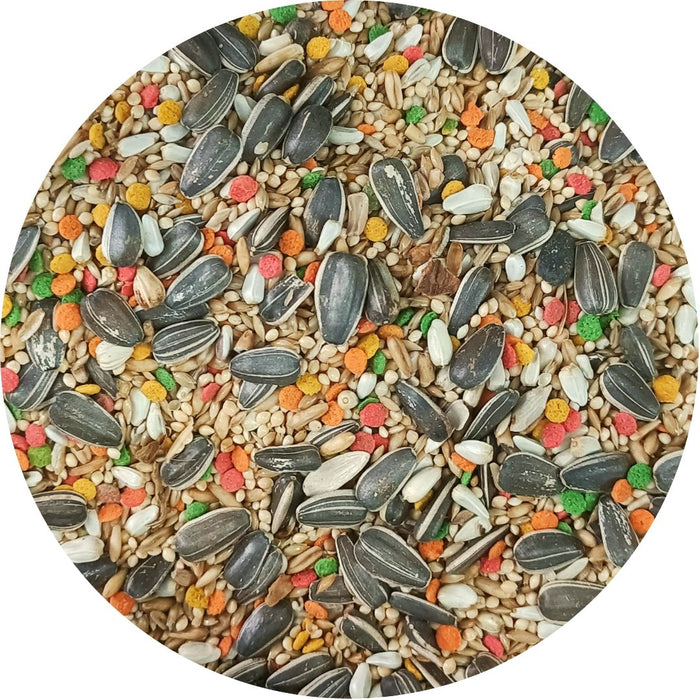 Uccello Cockatiel Complete with Vitamin Pellet — New York Bird Supply